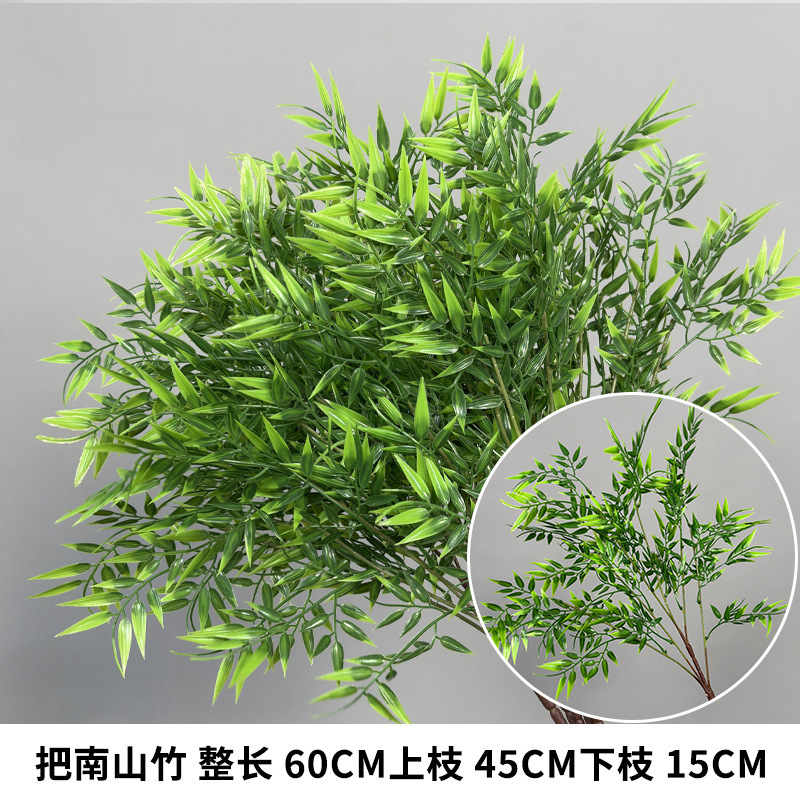 Nandina