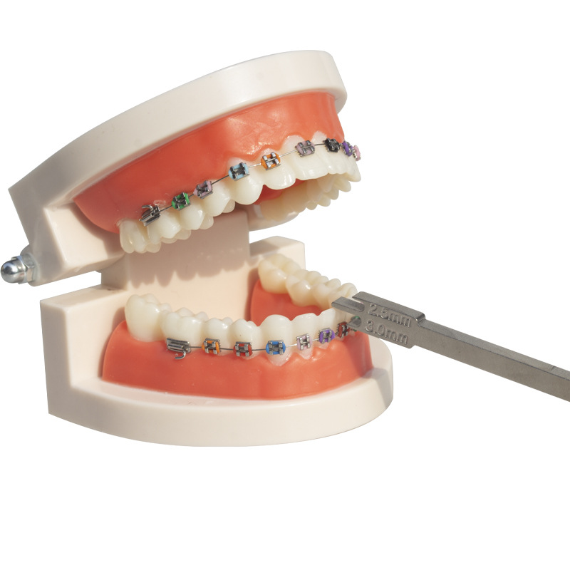 Localizador dental transfronterizo tipo varilla, regla de posicionamiento, regla de medición de altura, posicionamiento de brackets dentales anteriores y posteriores.