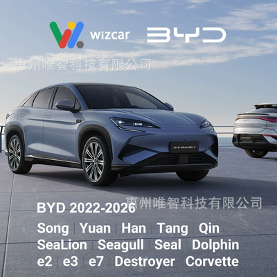BYD SeaLion Seagull Dolphin WIZCAR Other Automotive Communications