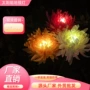太阳能感应新款跨境庭院灯