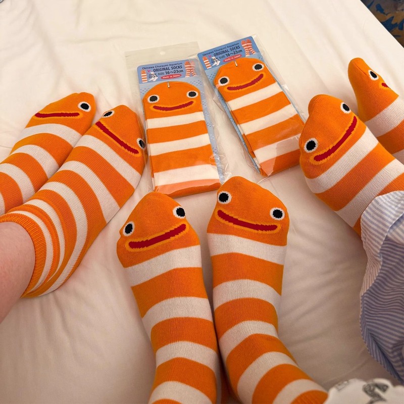 Japanese Okinawa Garden Eel Socks Aquarium-Themed Mid-Calf Socks Home Socks for Women Summer Thin Anti-Odor Cute