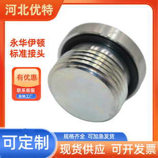 High pressure oil pipe oil stuffy plug hydraulic accessories metric British thread hexagon with ED seal ring M121.5
