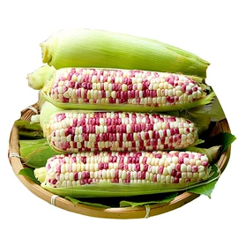 其他水果;块茎类;苹果