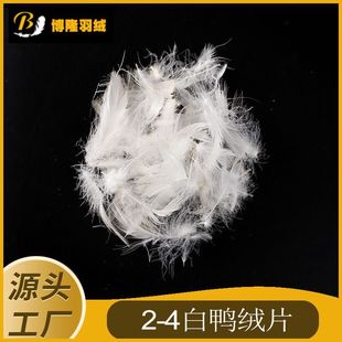 2-4ˮϴ�����q������ë���ɳ�l��о���|�S�����l��q��q