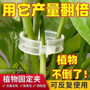 Green plant and fruit tree plant fixing clips, vine fasteners, seedling climbing support rods, fruit and vegetable plant fixing devices
