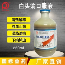 白头翁兽用兽药止痢清热解毒下痢脓血温热泄痢猪牛羊鸡猫狗兔厂家