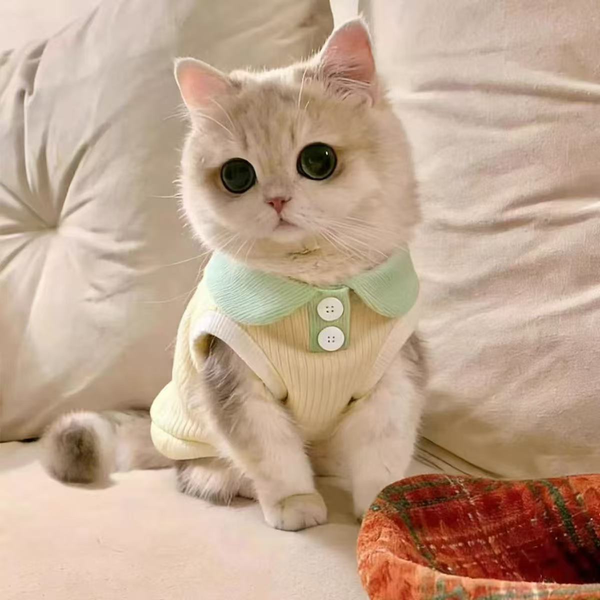 Vestido de renda para cães pequenos roupa para animais_voghion.com