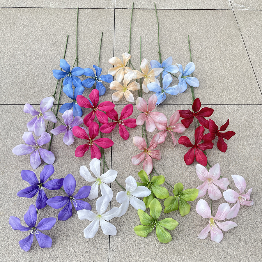 主图 林溪郡.JPG