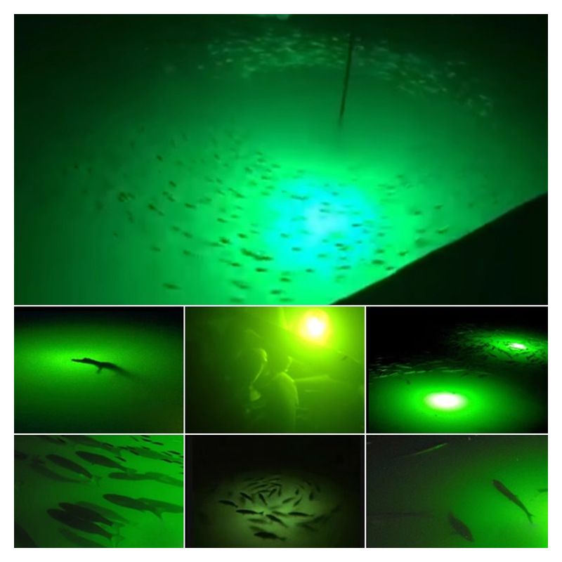 LED水下诱鱼灯220V大功率游艇海钓灯强光聚鱼夜钓鱿鱼引鱼冰钓|undefined