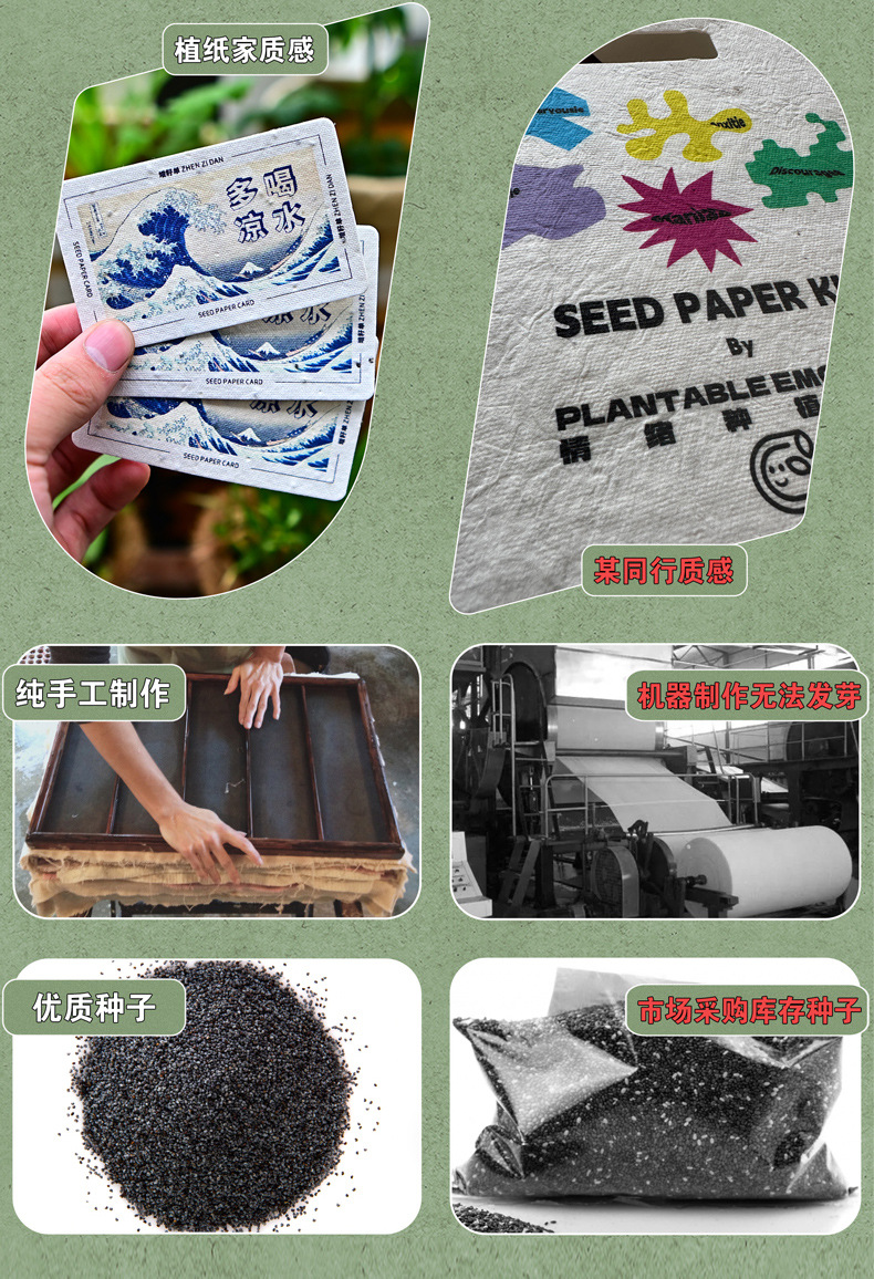 种子纸切片_05.jpg