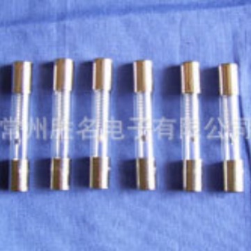 格兰仕微波炉高压保险丝管 5KV 0.75/0.8/0.9A 750/800/900mA