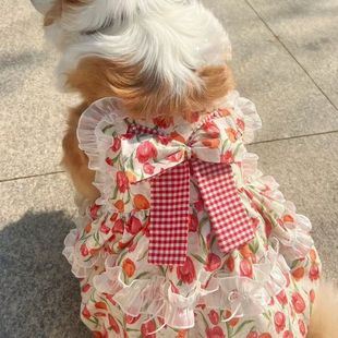 ����Ȯ�ļ��ɐ������㹫���Lȹ�ӿ»��_ĦҮ߅����ë����Ȯͨ�ÿ�