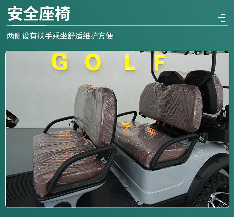 Golf Carts for Export: 2-Seater, 4-Seater, 6-Seater, 8-Seater Electric Golf Carts for Tourist Attractions, Amusement Parks, and Private Properties