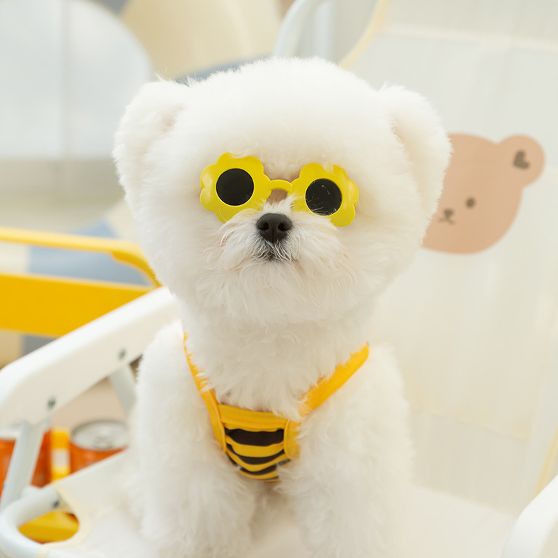 Perro de verano lindo traje de baño en forma de abeja cabestrillo gato traje de baño de dos piernas bikini para mascotas ropa de perro de peluche