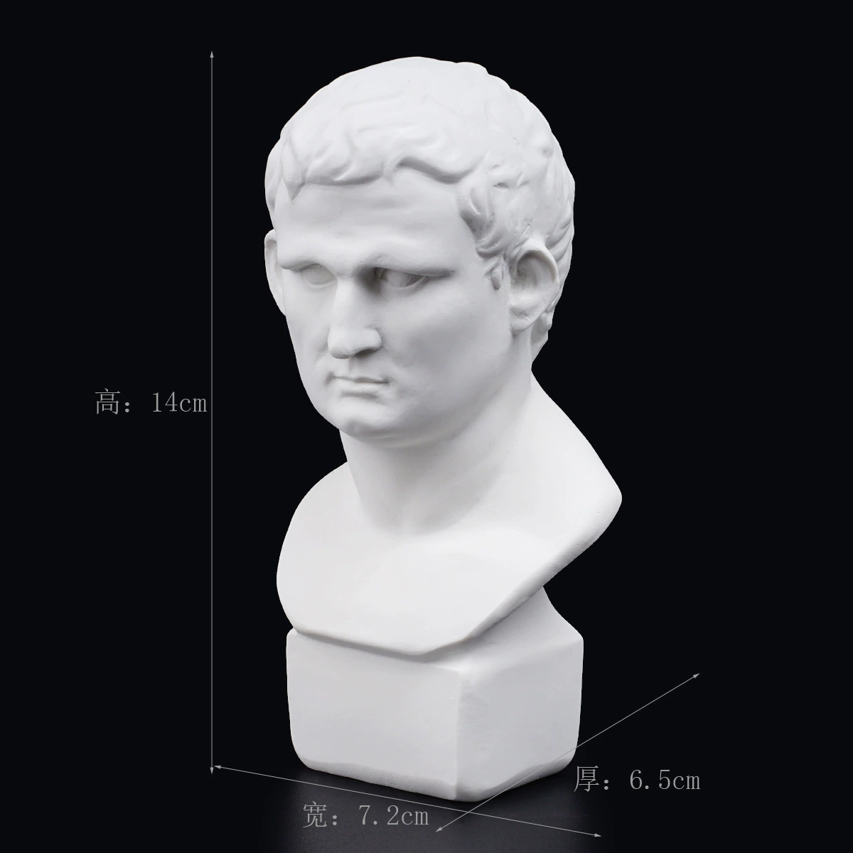 Gypsum avatar art sketch teaching aid sketching practice home decoration art carving window decoration