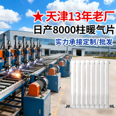 スチール 2 列楕円形 6030 ラジエーターエンジニアリング卸売表面実装ラジエーターホームメーカーストレートヘアスチールラジエーター