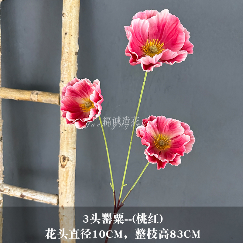 분홍색