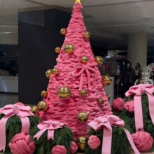 ���}�Q�侎���p�@��ë�����̈���ؔ[�������[���Ĕz�W�t�򿨱���