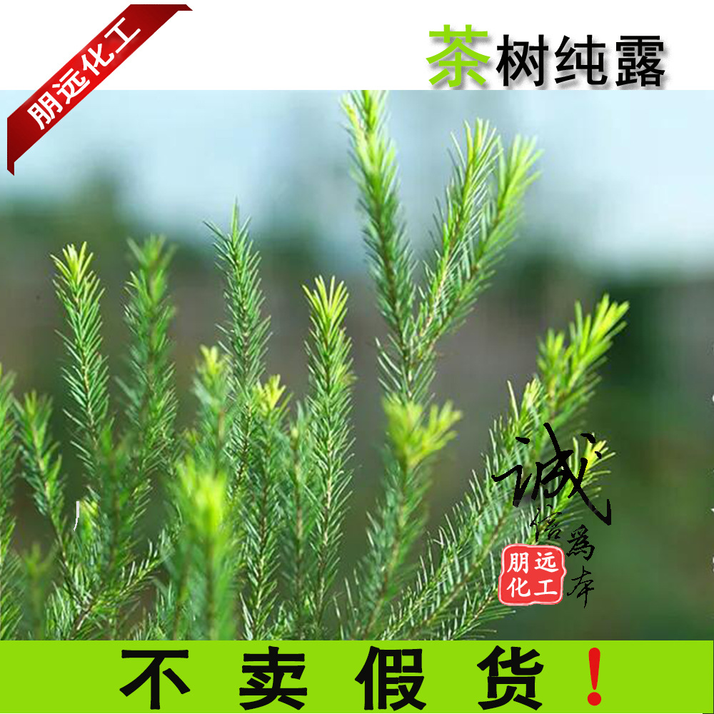 批发零售供应澳洲护肤品原料天然茶树 花水