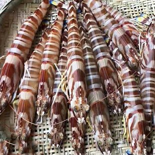 ��350g/�С����r����̖��߹��r�r��������r�Ź��r�����r���r