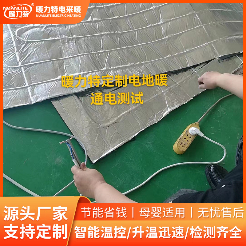 定制电地暖加热系统养殖家用全套设备碳纤维发热线电缆经济型