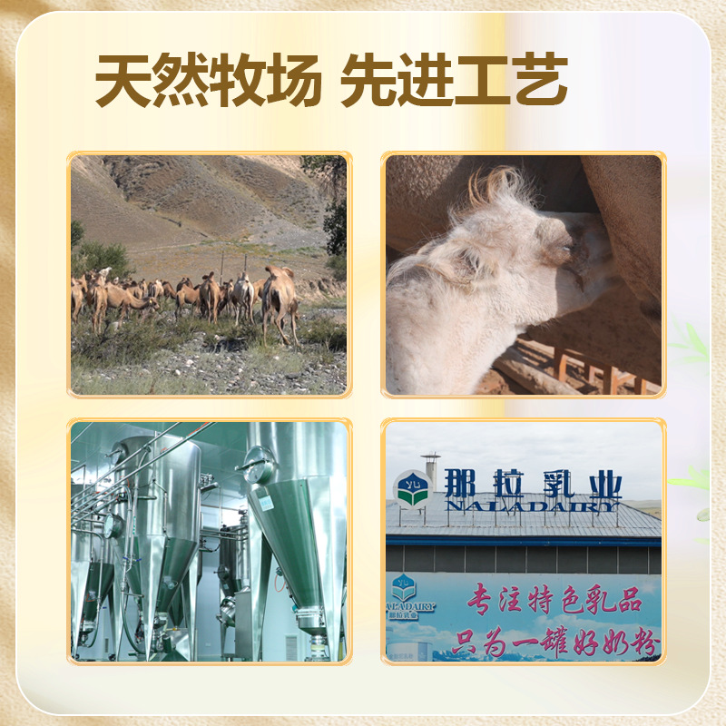Xinjiang Full-Fat Camel Milk Powder with Probiotics 300g 4
