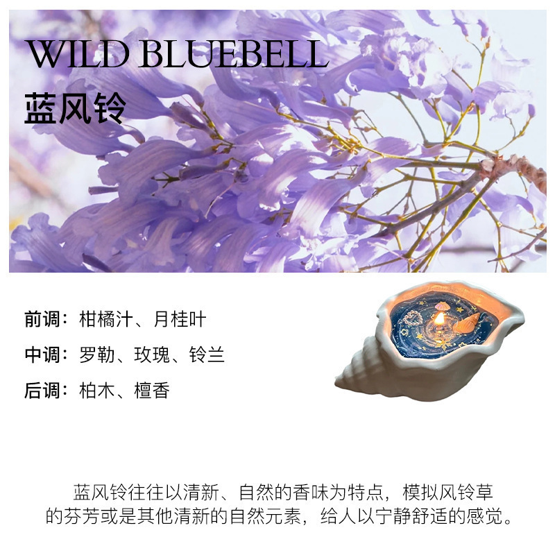 海螺香薰蜡烛手工礼物香氛小众高级感创意香薰摆件氛围感生日礼物|undefined