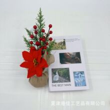 �ۼ������}�Q����ᘘ����l christmas tree�鲼�t�������}�QС��