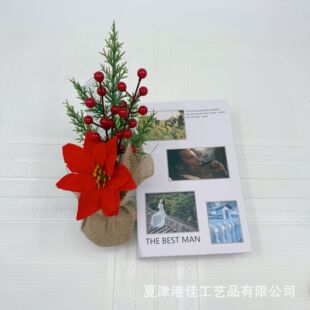 �ۼ������}�Q����ᘘ����l christmas tree�鲼�t�������}�QС��