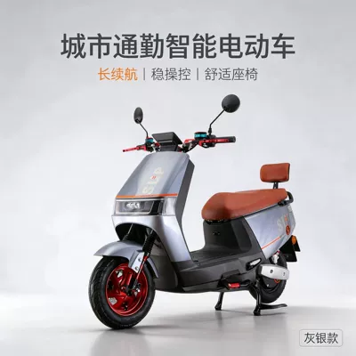 same model as the Ninebot | Elektrikli motosikletlər - silver-gray-standard-version-60v-20a