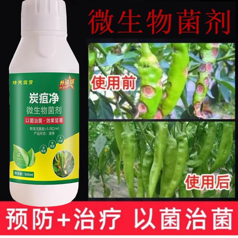 炭疽病杀菌剂柑橘番茄黄瓜葡萄苹果西瓜辣椒草莓炭疽病通用药专用