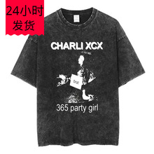 Charli Xcx 365 Party Girl Brat Album Vintage Washed T Shirt