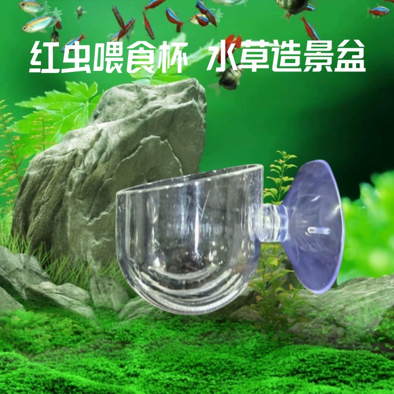 Кормушка для рыбы, аквариум, чашка для эритонов, нематод, прозрачная кровяная кормушка, чашка для кормления, чашка для рыбы, аквариум, ландшафтная чашка с присосками