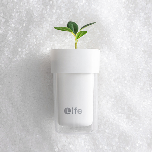 Yiyue Mouthwash Cup Home Simple Toothbrushing Cup Washing Cup Couple Travel Toothbrush Storage Box Washing Cup Set