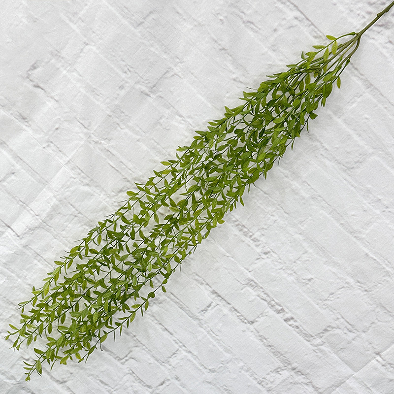 Large willow, dark green.