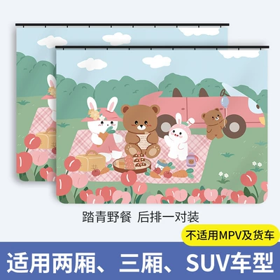 Car curtains: child car side window - picnic-square-fit