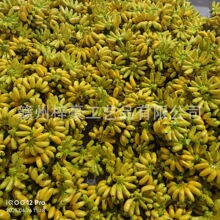 �����㽶ģ�ͼ�ˮ������Ӱҕ�[�O�b��߃�ͯ�̾߼ٵĻʵ۽���