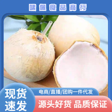 泰国椰皇上海发货顺丰包邮新鲜水果椰子椰皇一件代发