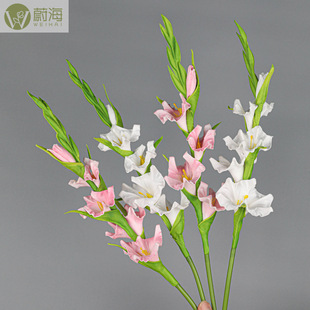 ���滨PU���m�͏d�ٻ������c�Ҿ�ܛ�b��֧�廨�[����������