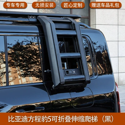 ladder schoolbag decoration luggage – Roof rack - equation-leopard-5-ladder-black-magnet-hidden-lossless-installation