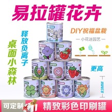 易拉罐植物盆栽学生DIY室内桌面摆件迷你花卉绿植种植罐头小盆栽