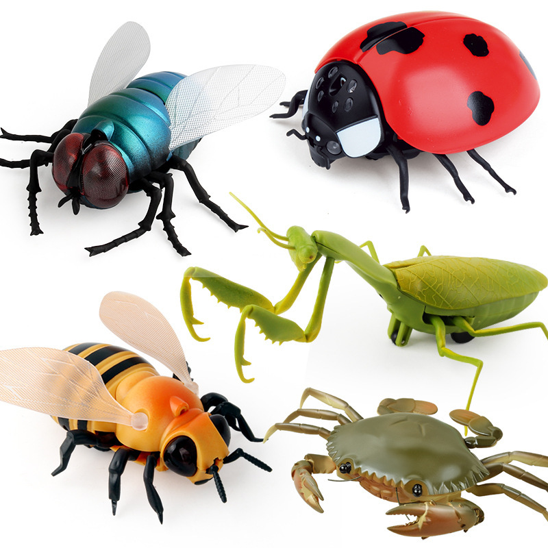 遥控昆虫仿真动物玩具蜜蜂螳螂爬行玩具瓢虫苍蝇整蛊玩具创意摆件