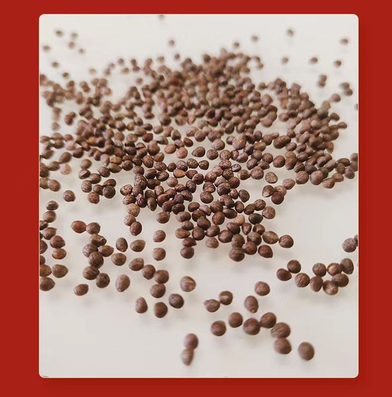 Perilla Seed Zi Su Zi 500g Dried Edible Herb for Tea Soup and Culinary Use quality and texture