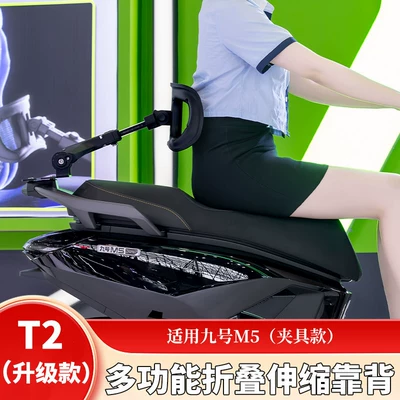 Electric car rear backrest E300 Q85C M5 MZ - no9-m5-second-generation-default-item