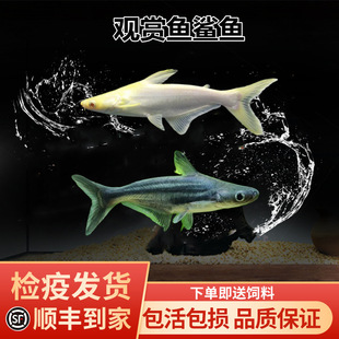 �^�p�~���~���~�{���׻����^���ͻ���B�坍�~�д���Ⱥ�ΟᎧ�~��