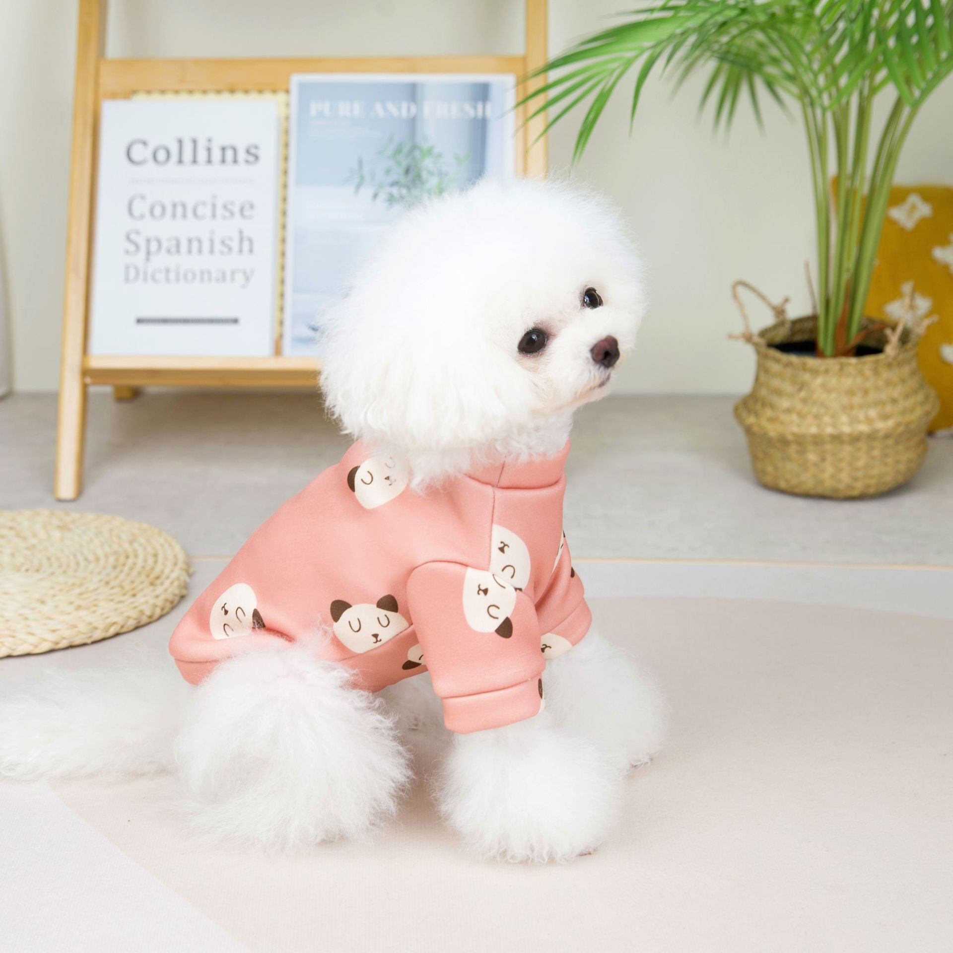 2022大头熊小卫衣