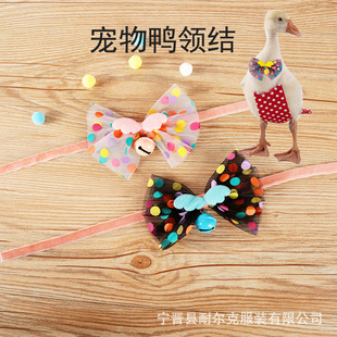 ��������ʹ���W�������Y��K�Ȧ�����b��I���u���b����Y