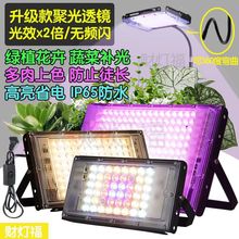 ֲ���a���ȫ���V��ꖹ����ֶ������Gֲ�߹������L��ˮ�ݟ���ˮ