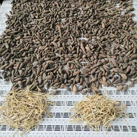 微波干燥设备;其他干燥设备;食品杀菌设备