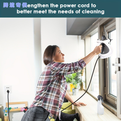 I 215 Handheld Steam Cleaner for Home Car And Office|ms